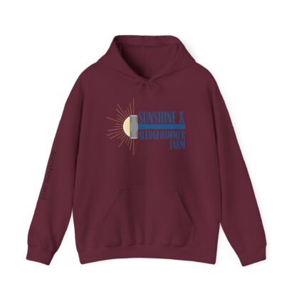 Hoodie — "Sunshine & Misadventure Tour" Vintage Sunset Graphic Pullover